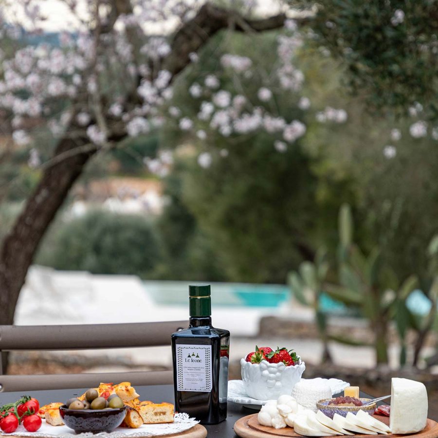 Aperitif amidst the Olive Trees